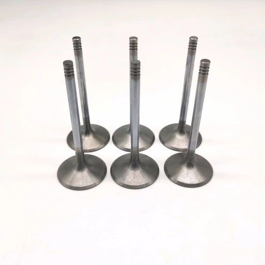 Sea-Doo Rotax 4-TEC 1503 Intake Valve Set (6)